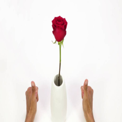 Bostik DIY United Kingdom Ideas Inspiration Repair a Vase teaser 920x552px