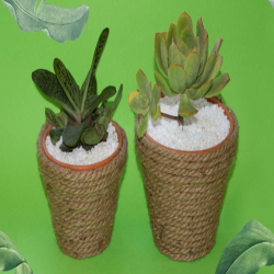 bostik-diy-south-africa-ideas-inspiration-diy-upcycled-planter-pots-teaser-image.jpg