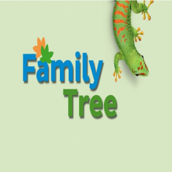 bostik-diy-south-africa-ideas-inspiration-family-tree-teaser-image.jpg