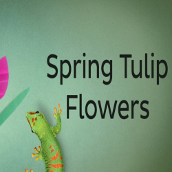 bostik-diy-south-africa-ideas-inspiration-spring-tulip-teaser-image.jpg