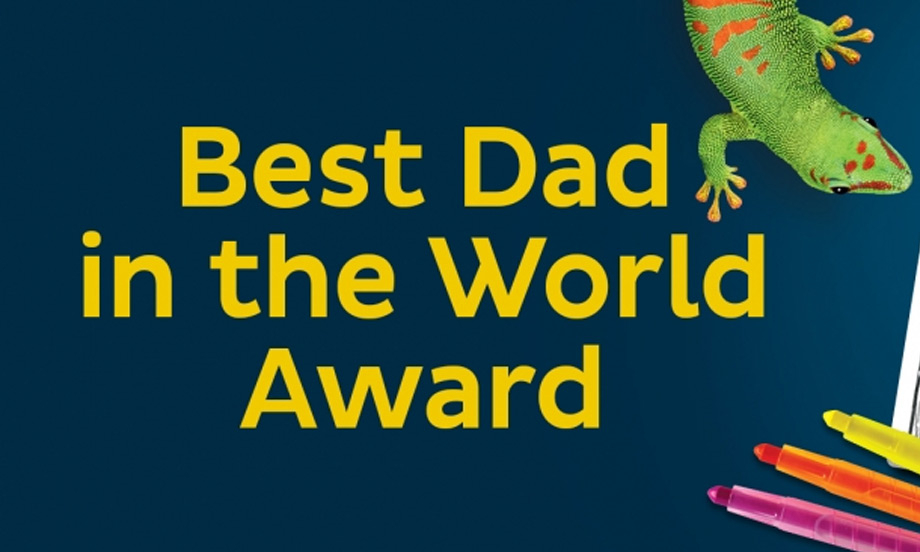 bostik-diy-south-africa-ideas-inspiration-best-dad-world-award-teaser-image.jpg