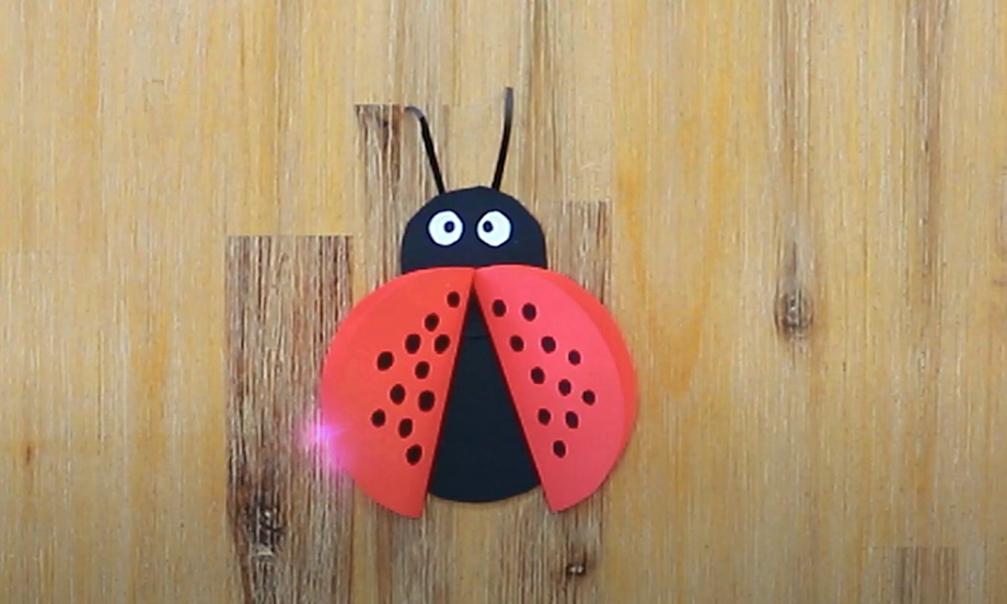 bostik-diy-south-africa-ideas-inspiration-ladybug-teaser-image.jpg