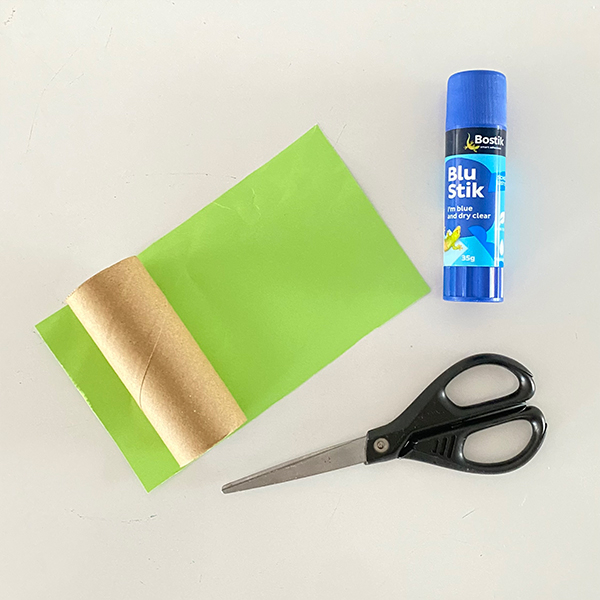 diy-bostik-australia-tutorial-toilet-roll-frog-step-2-600x600