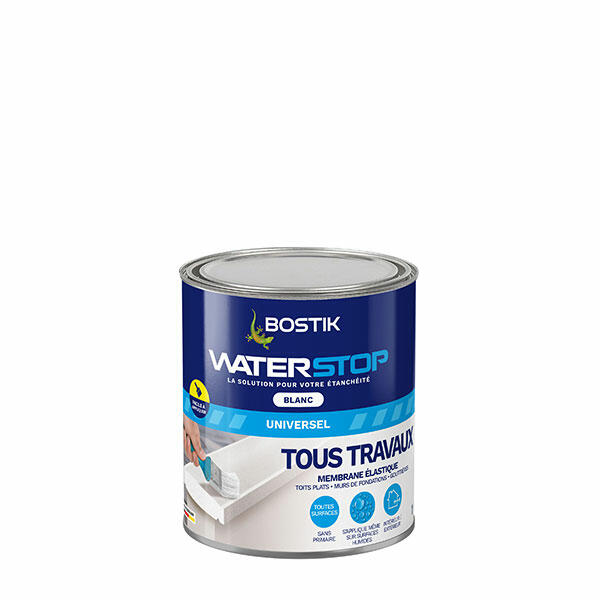 Bostik DIY France Waterstop Tous Traveaux Blanc 1kg 600x600px