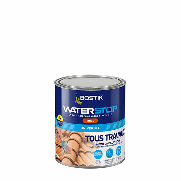 Bostik DIY France Waterstop Tous Traveaux tuile 1kg 600x600px